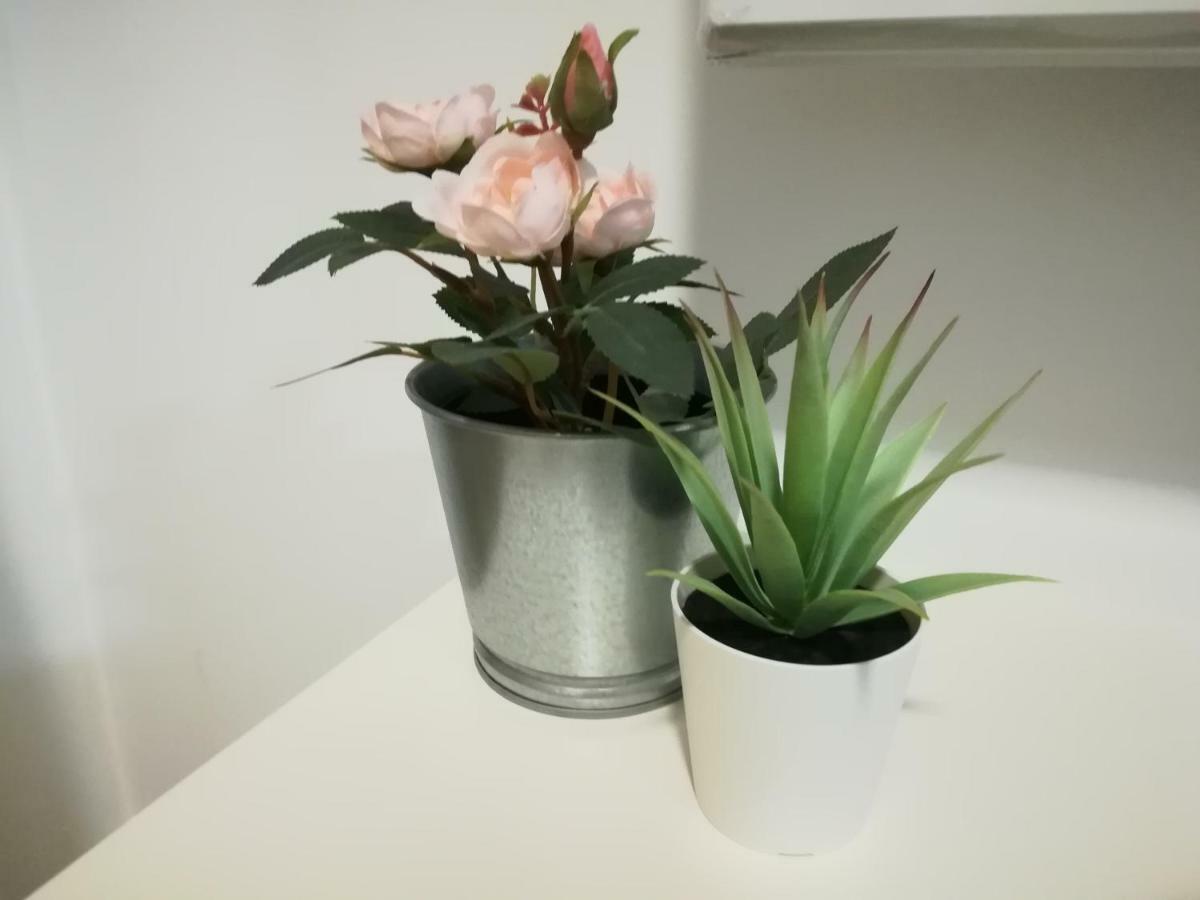 Iris Apartment Помбал Екстериор снимка